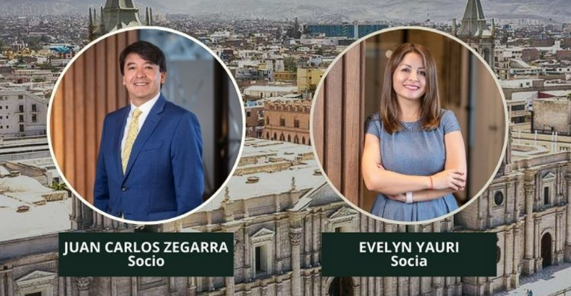 Participación ZLLC PERUMIN